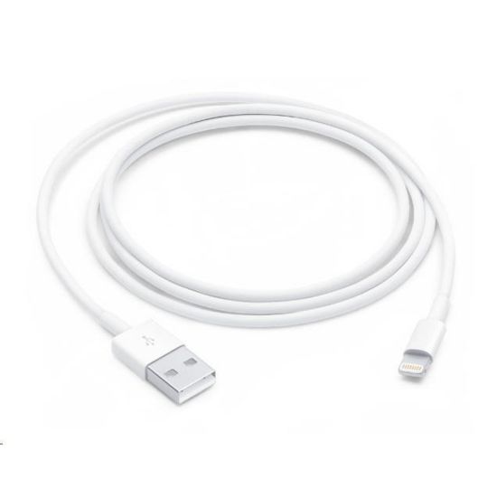 Obrázek APPLE Lightning na USB kabel (1m)