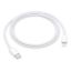 Obrázek APPLE USB- C na Lightning kabel (1m)