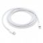 Obrázek APPLE USB- C na Lightning kabel (2 m)