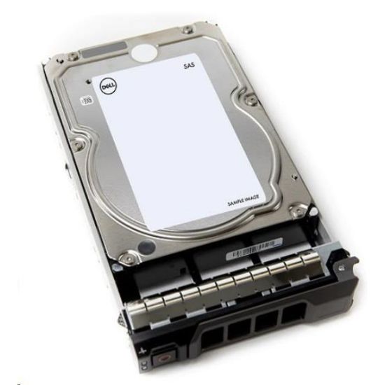 Obrázek DELL 4 TB Hard Drive SAS 12Gbps 7.2K 512n 3.5in Hot- Plug CK T360, T560, R360, R450, R550, R660, R760, Rxx5...