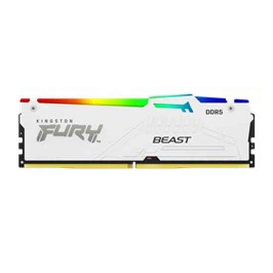 Obrázek KINGSTON DIMM DDR5 32 GB 5600MT/ s CL40 FURY Beast Bílá RGB XMP