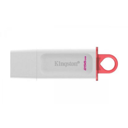 Obrázek Kingston Flash Disk 256 GB USB3.2 Gen1 DataTraveler Exodia (White + Pink)