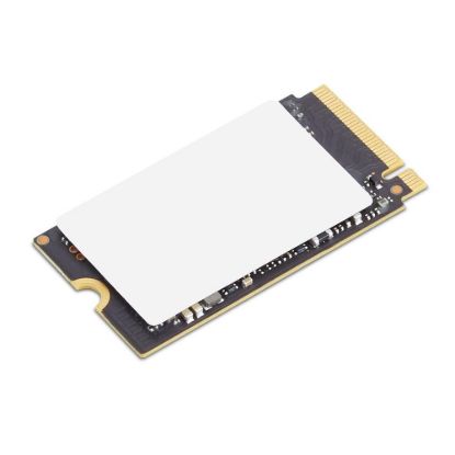 Obrázek LENOVO disk ThinkPad 256 GB PCIe Gen4 x 4 NVMe OPAL2 M.2 2242 SSD Gen 2