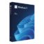 Obrázek Windows Pro 11 64- bit Eng USB
