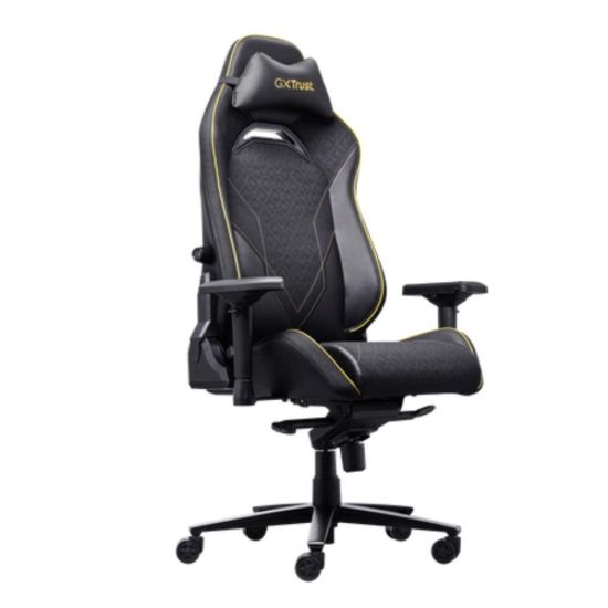 Obrázek TRUST herní židle GXT 721 RUYA Pro Premium, černá