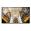 Obrázek SMART Signage LED QB65C 65" LH65QBCEBGCXEN - pošk. obal